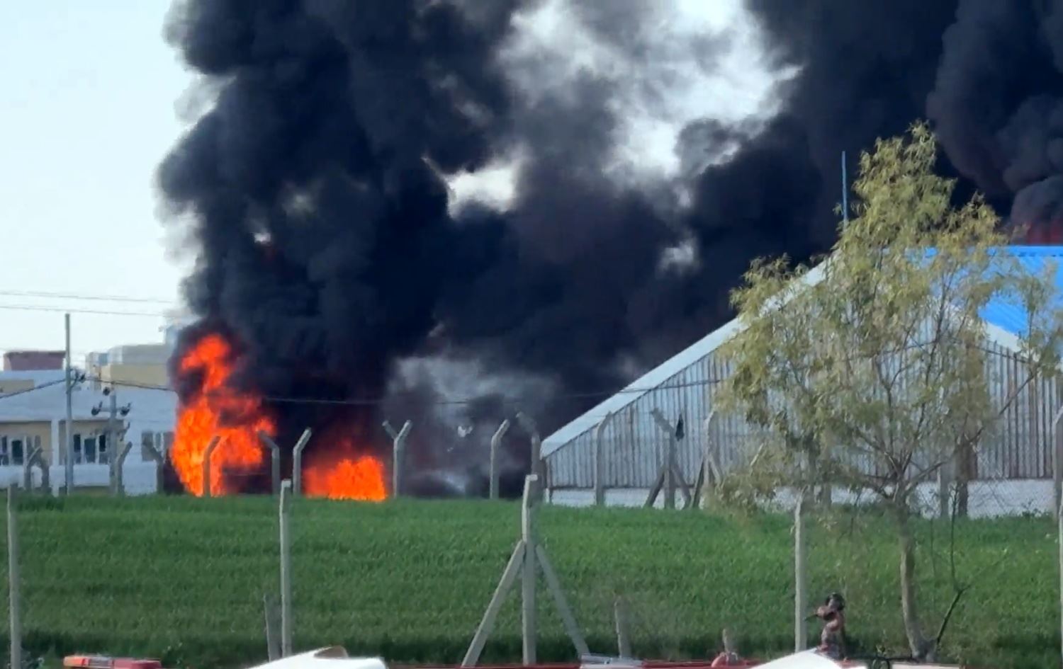 دیمەنی کۆگاکە