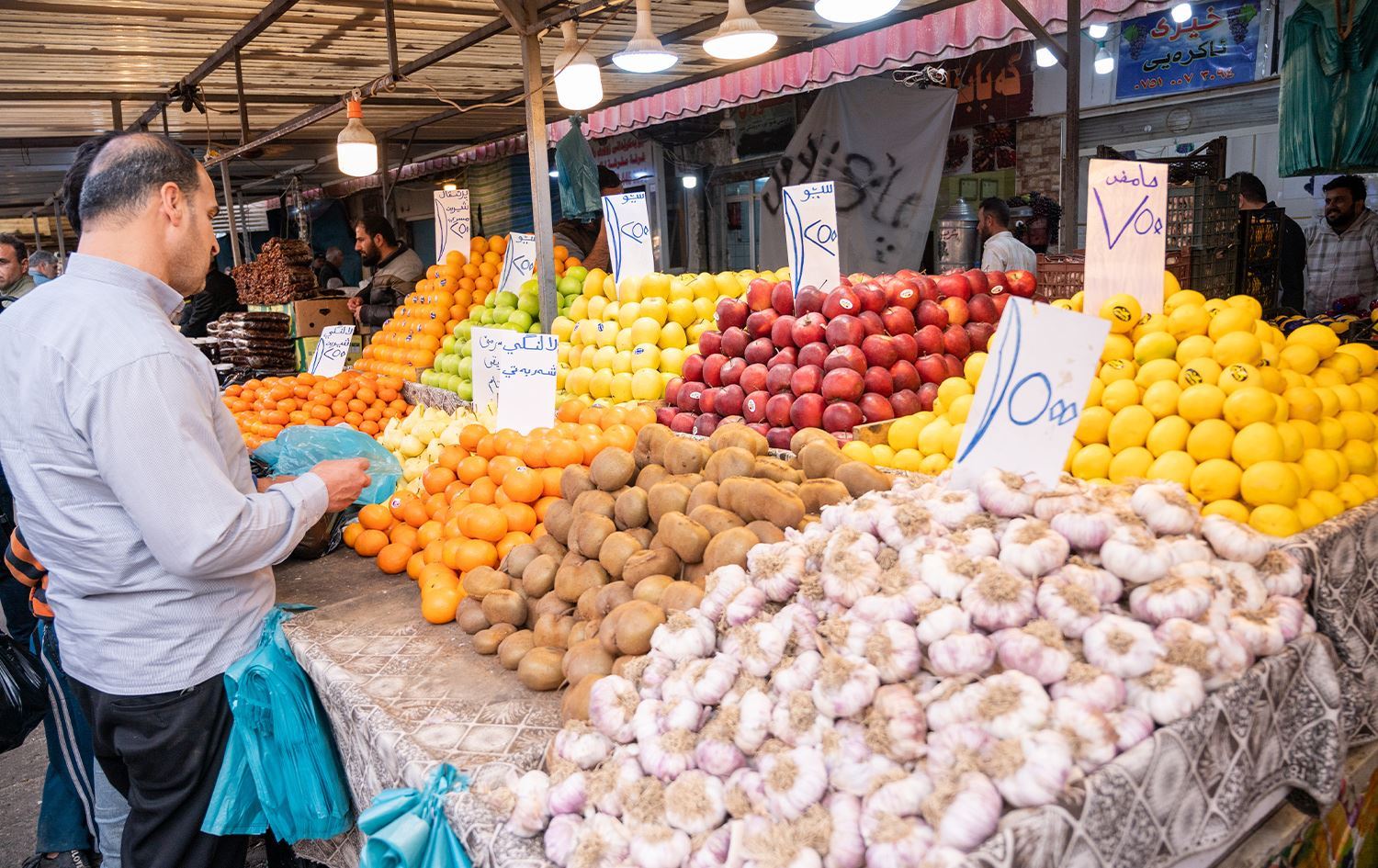 زیاتر لە نیوەی بەرهەمی عەلوەکانی هەرێمی کوردستان لە ئێرانەوە هاوردە دەکرێن