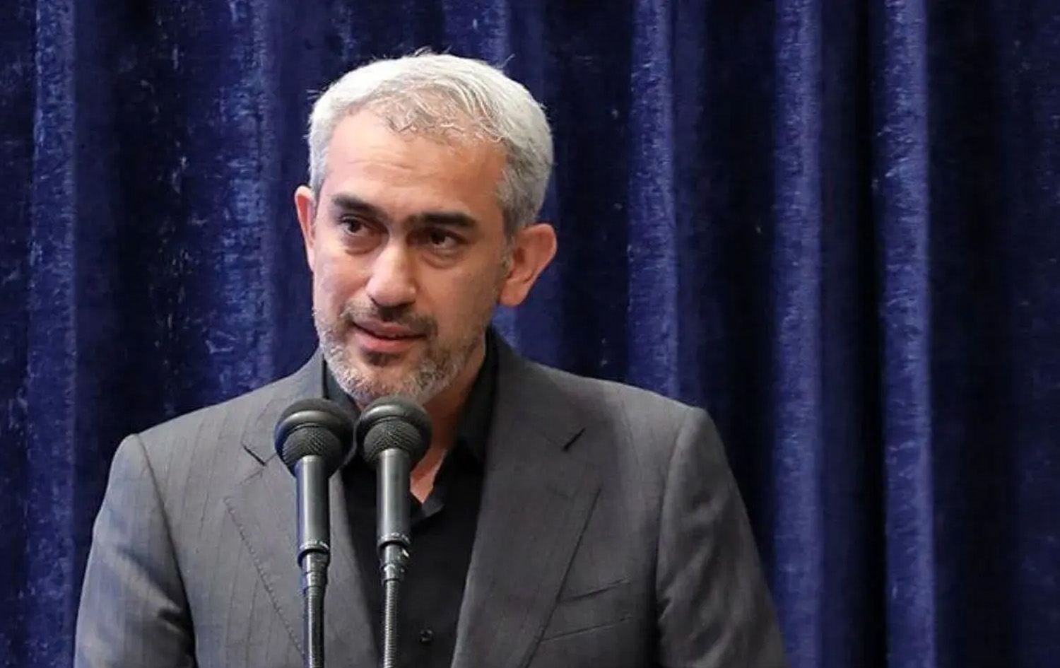 عەلی مەدەنیزادە، وەزیری ئابووریی ئێران