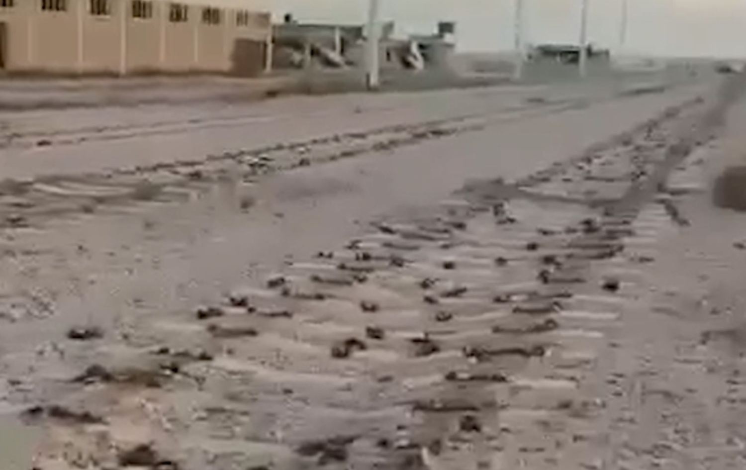 سرقة قضبان سكة حديدية وأنابيب مشروع مياه في الأنبار