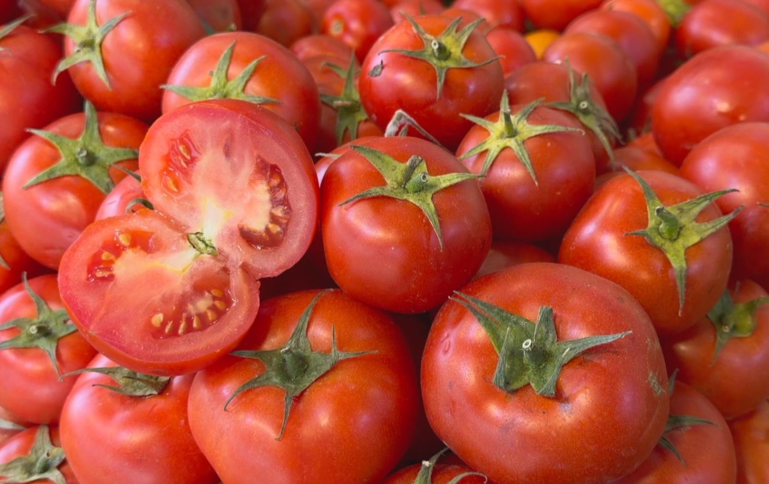 گرانبوونی نرخی تەماتە لە هەرێمی کوردستان بەهۆی جەنگەوە