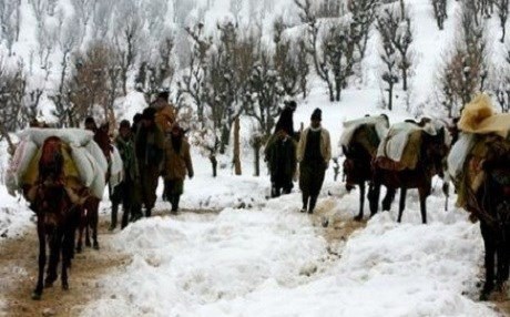 İran bir Kürt "kaçakçı"yı daha öldürdü!