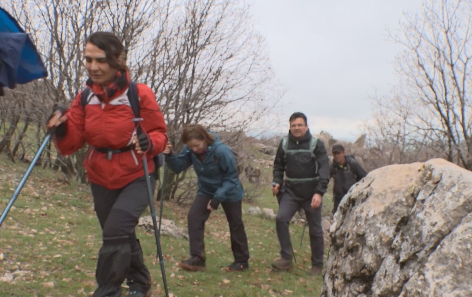 گەشتیاران دەچنە لووتکەی چیا بۆ بینینی گوڵە شلێرەکان