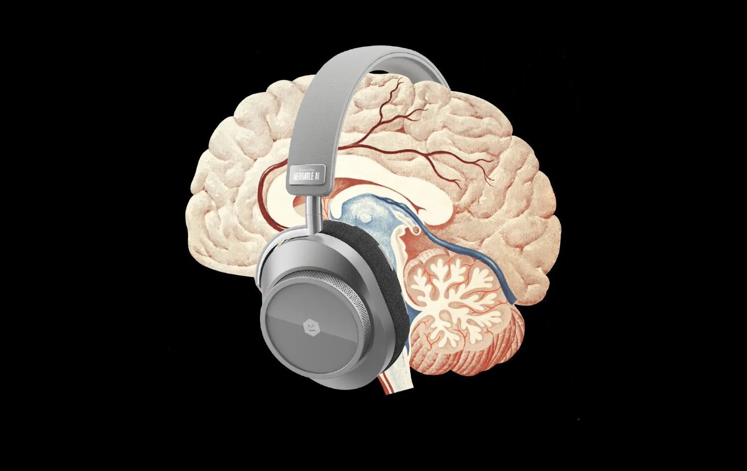 بیستۆکەکە رێگری لە شەکەتی دەکات.