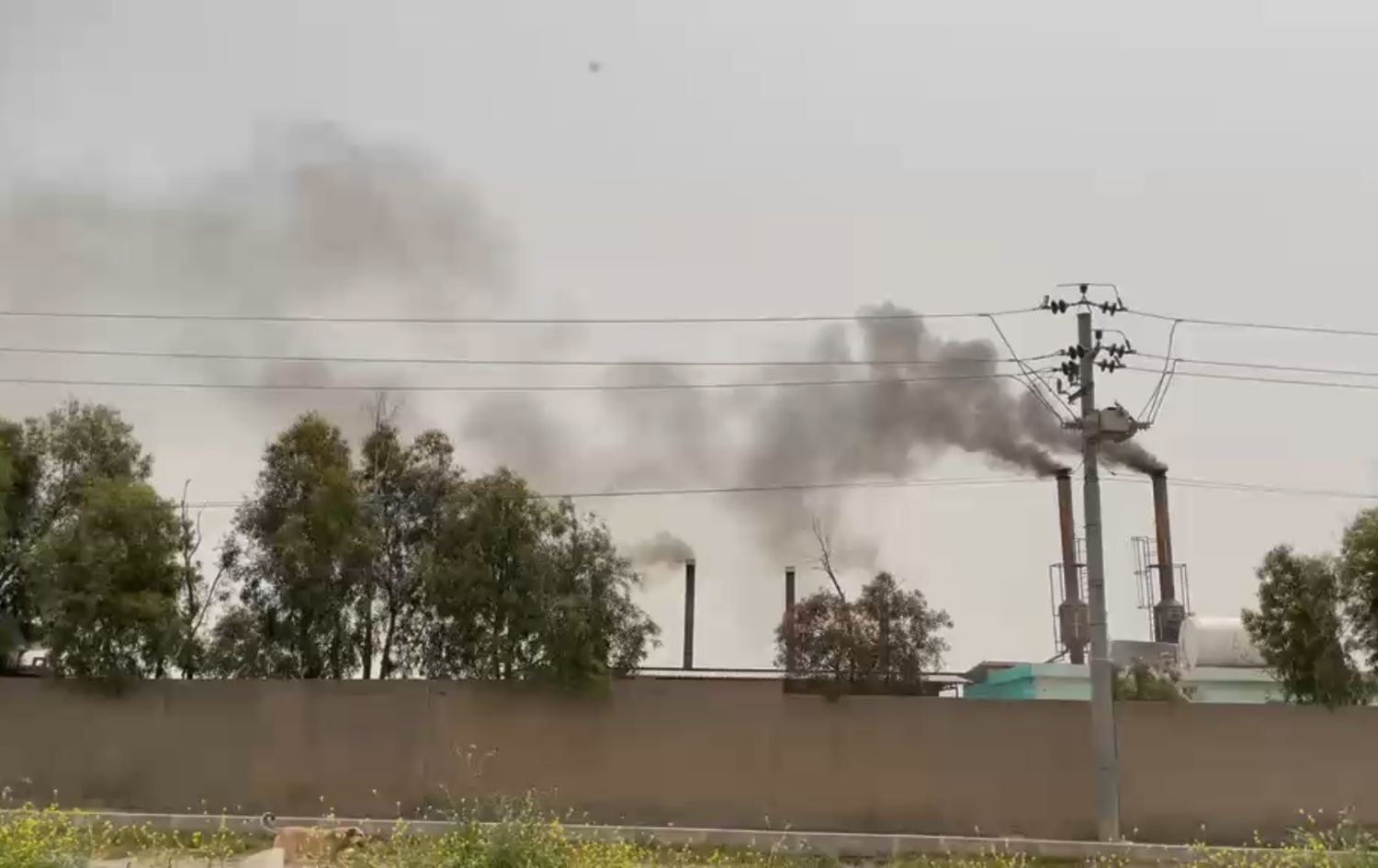 دیمەنی ئەو کارگەیەی وەکو سوتێنەرێک کار دەکات. وێنە: رووداو