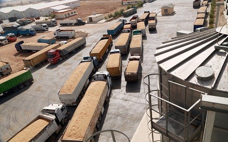 Kürdistan Bölgesi – Buğdayda iç denetim