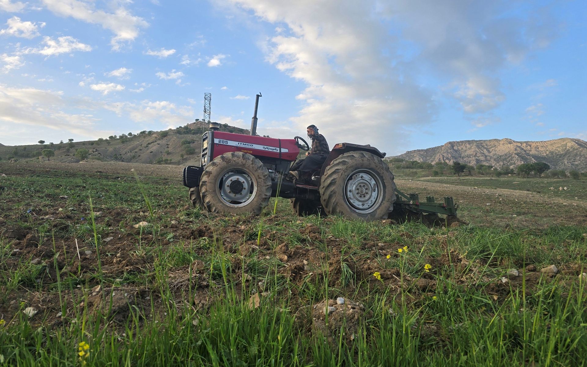 جووتیارێک زەوییەکەی دەکێڵێت