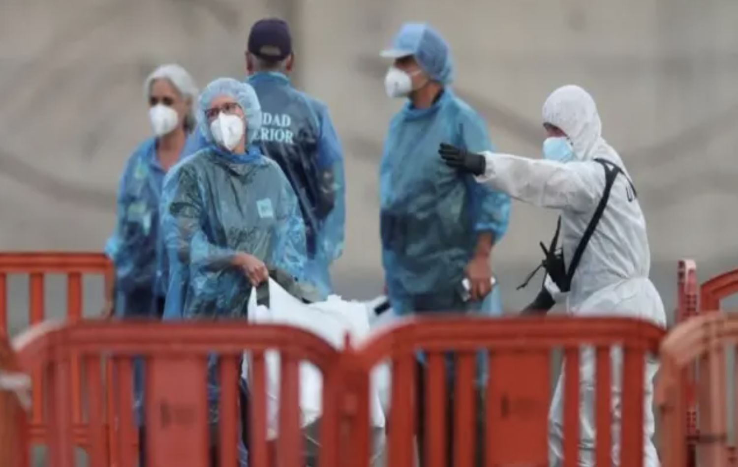İtalya'da hantavirüs alarmı: 4 kişi karantinada