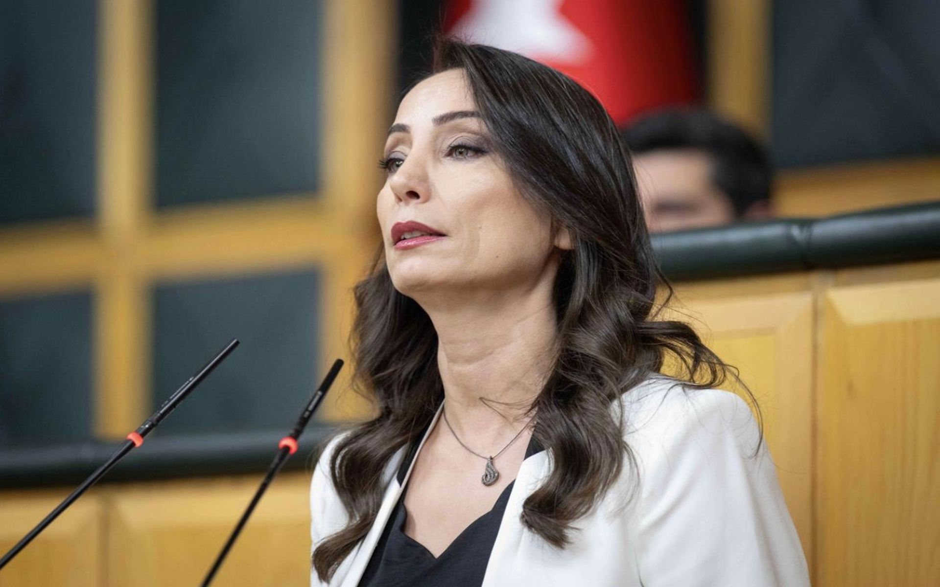 Tulay Hatîmogullari / Wêne: DEM Partî