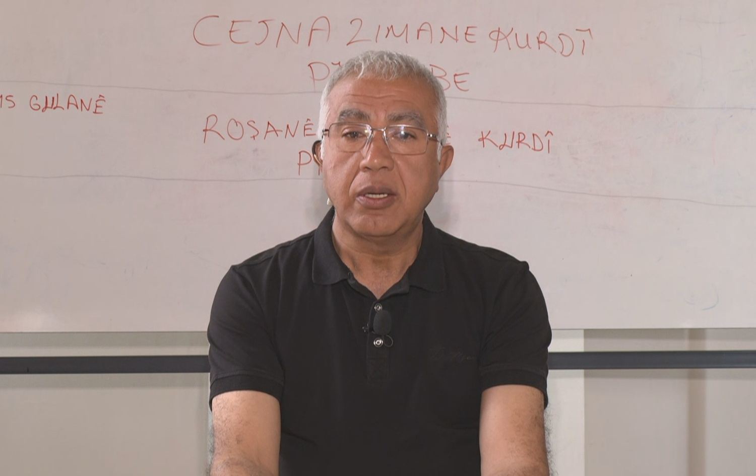 زانا فارقینی، زمانناس و لێکۆڵەر لە ئینستیتیوتی کوردیی ئامەد