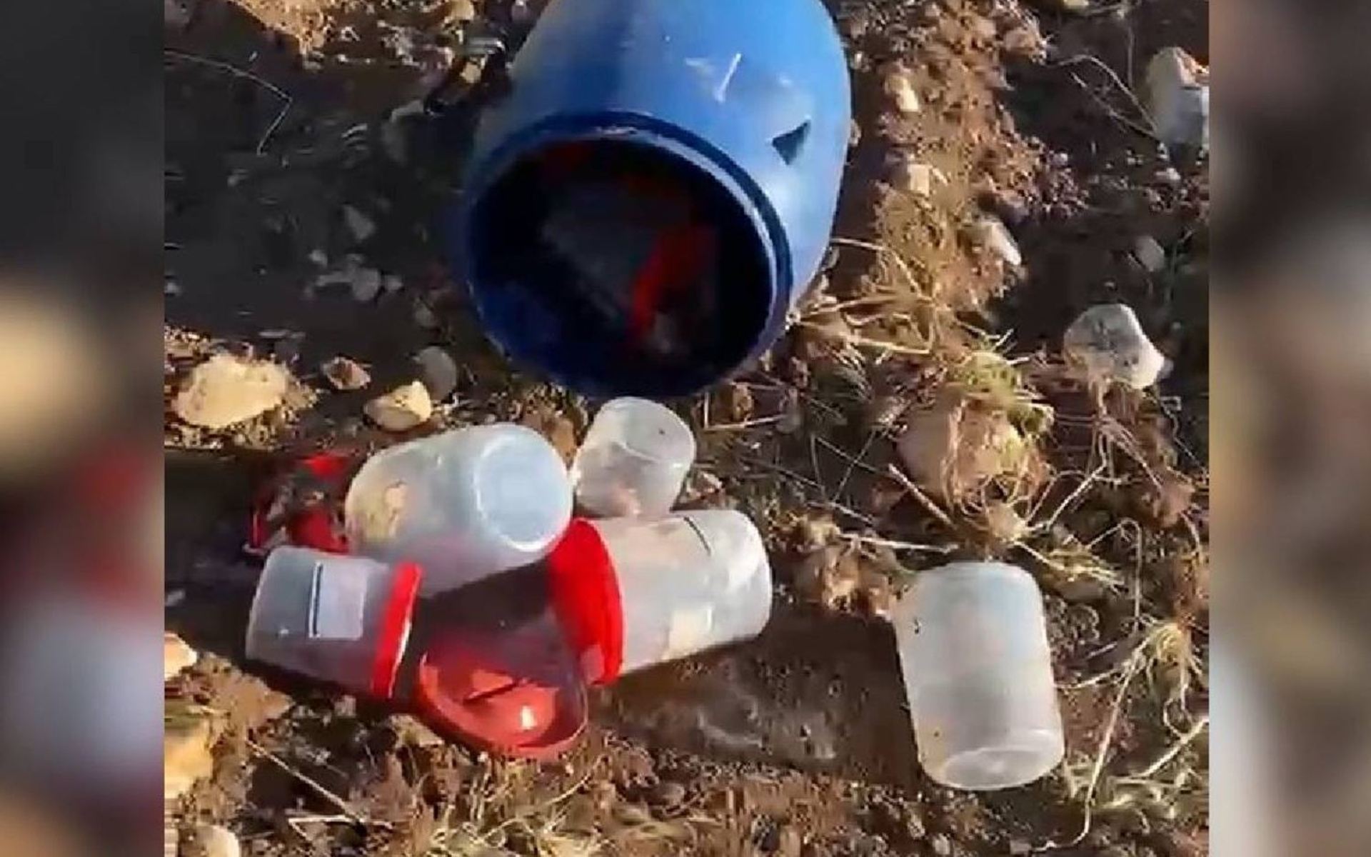 الحاوية 