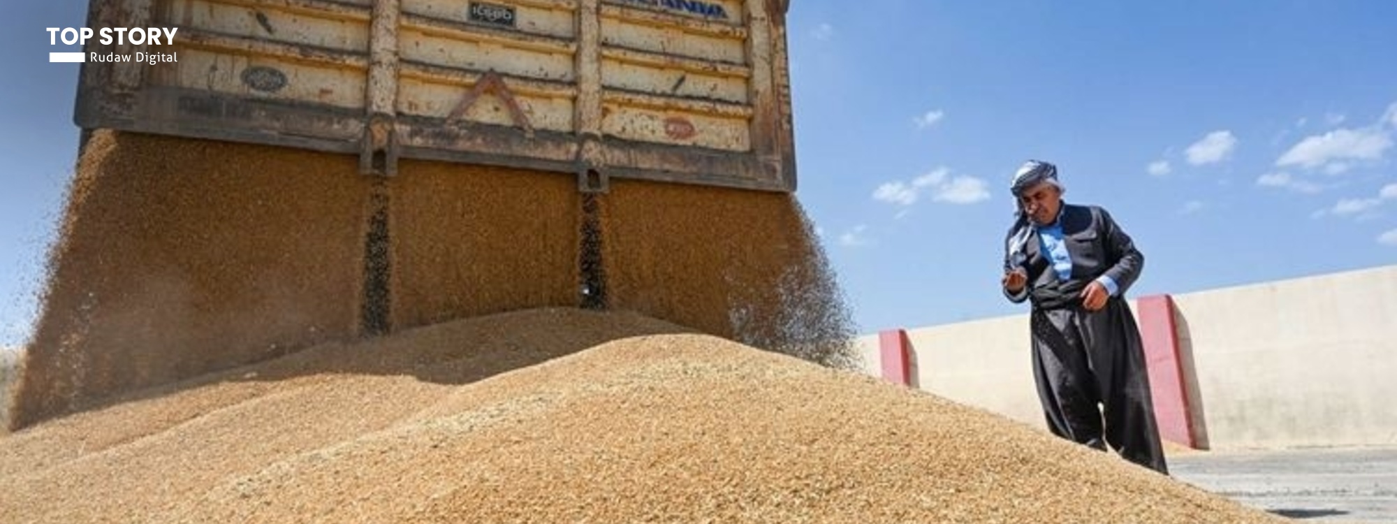 إنتاج القمح في اقليم كوردستان يتجاوز المليوني طن