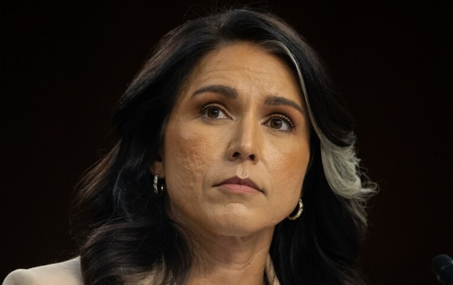 Tulsi Gabbard
